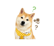 839602521