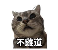 839602838