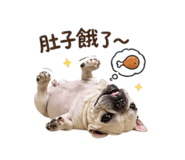 839602885