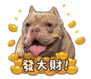 839602978