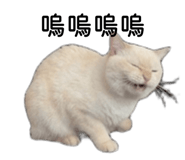 839603105