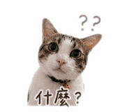 839603224