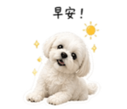 839603263