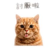 839603564