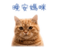 839603591