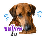 839605636