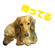 839606103