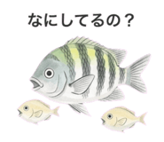 839606437