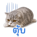 839606882