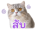 839606884
