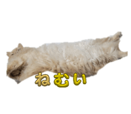 839607085