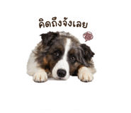 839607330