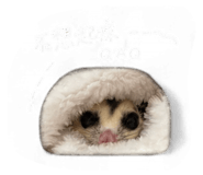 839607787
