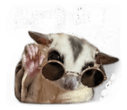 839607789
