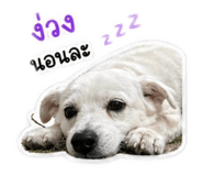 839608881