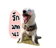 839609762