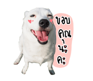 839609768