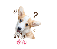 839609770