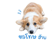 839609773