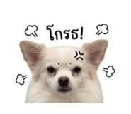 839609783