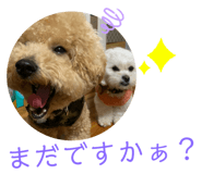 839610235