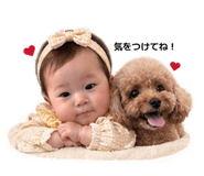 839610446