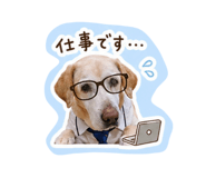 839610504