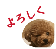 839610593