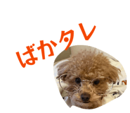 839610595