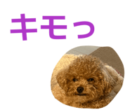 839610600