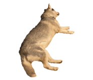 839610830