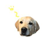 839610835