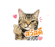 839611049