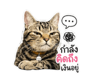 839611051