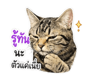 839611054