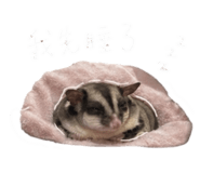 839611388