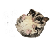 839611396
