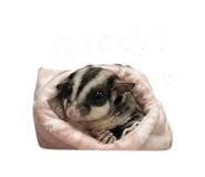 839611397