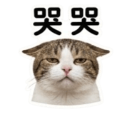 839611743