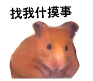 839612080