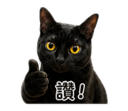 839612449