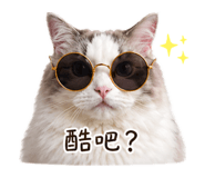 839612804