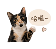 839612841