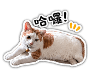 839613097