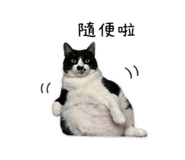 839613588