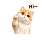 839613677