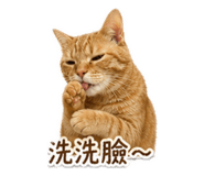 839614515