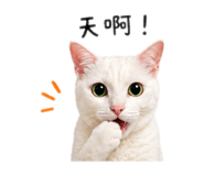 839614637
