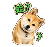 839615032