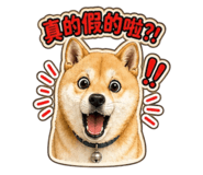 839615037